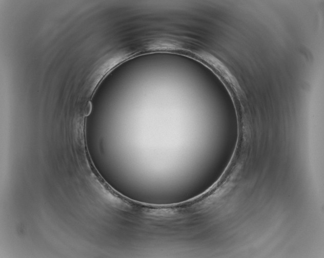 X0000111491337200907141231