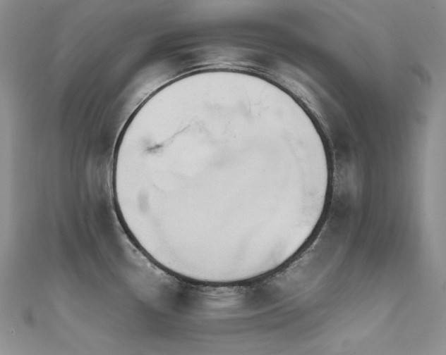X0000111491338200907141231