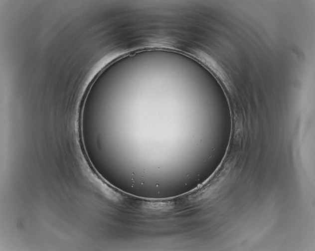 X0000111491339200907141231