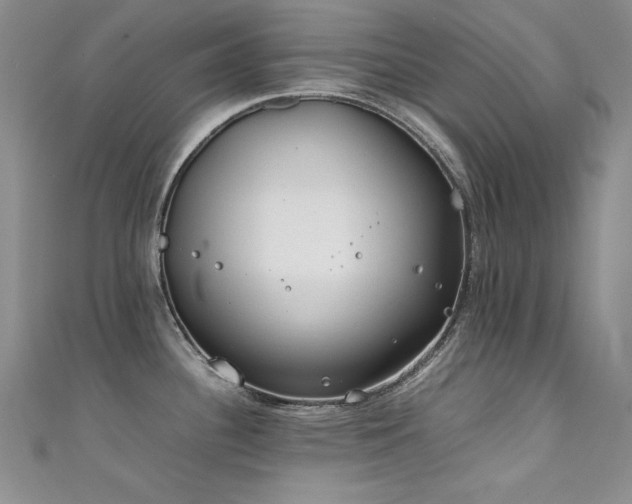 X0000111491340200907141231