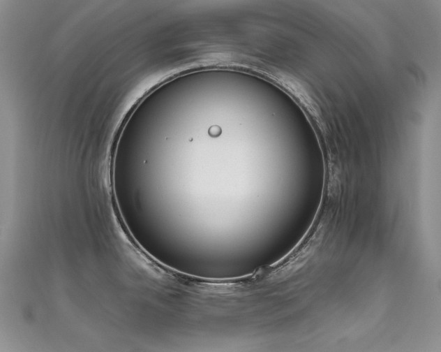 X0000111491342200907141231