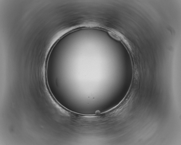 X0000111491343200907141231