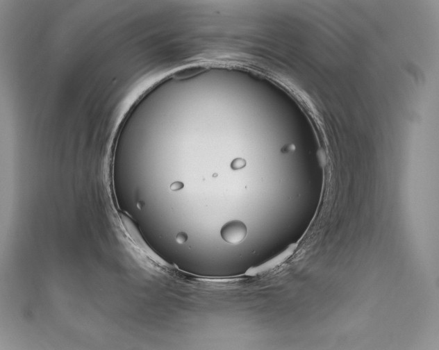 X0000111491344200907141231