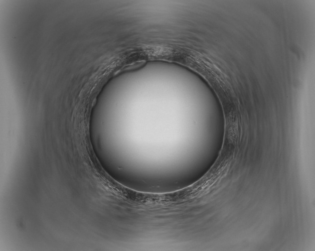 X0000111491345200907141230