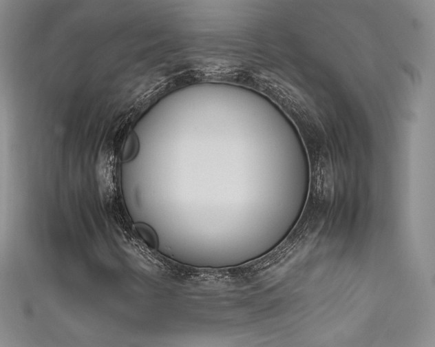 X0000111491346200907141230