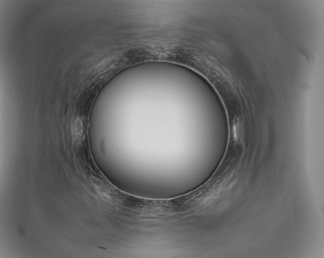 X0000111491347200907141230