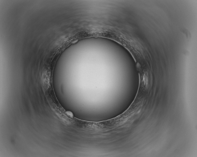 X0000111491348200907141230