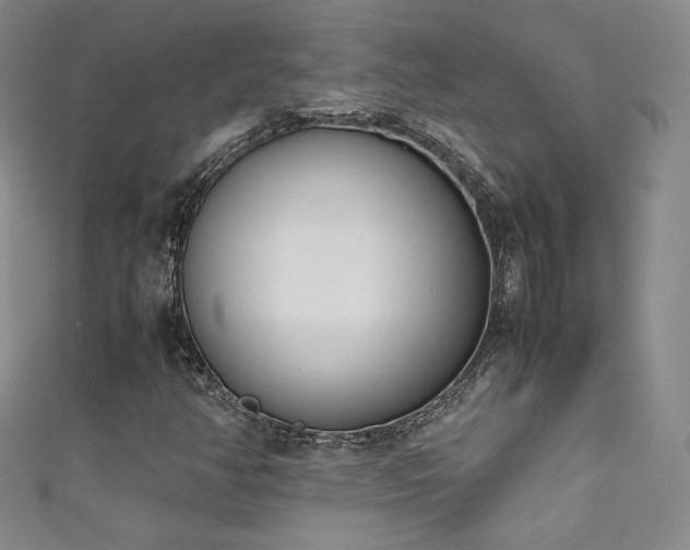 X0000111491350200907141230