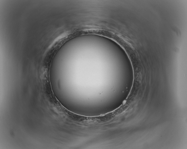 X0000111491351200907141230