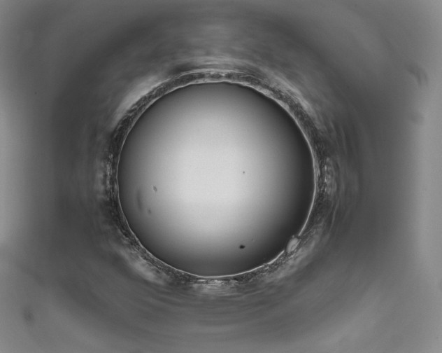 X0000111491352200907141230