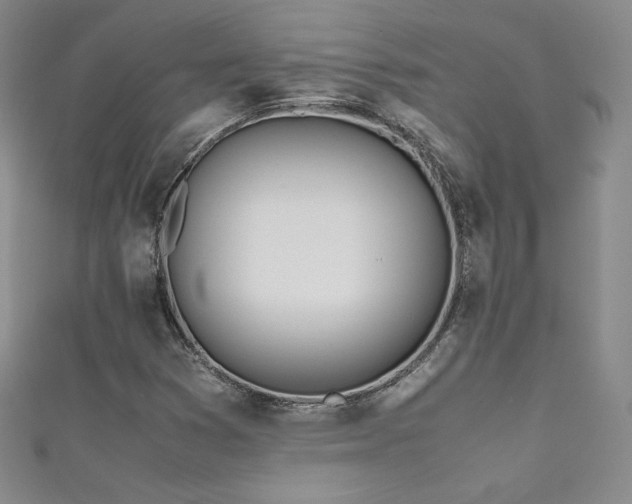 X0000111491353200907141230