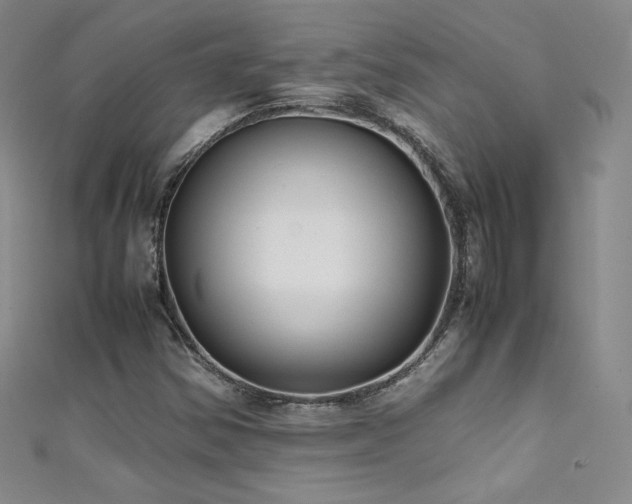 X0000111491354200907141230