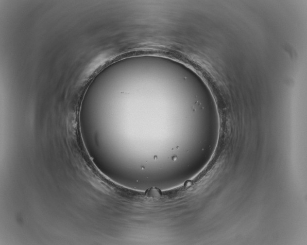 X0000111491355200907141230
