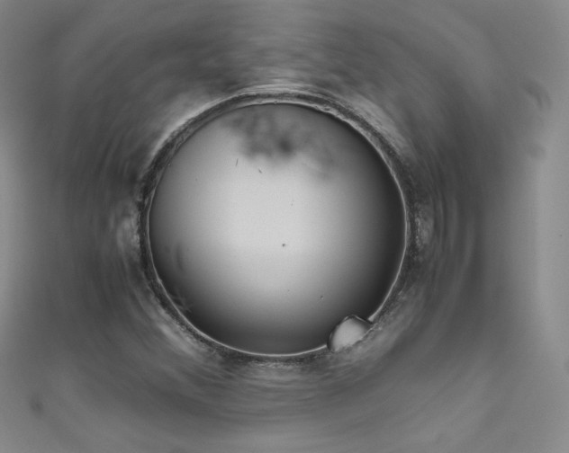 X0000111491356200907141230