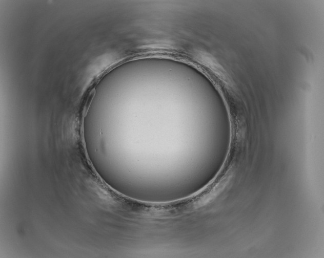 X0000111491357200907141230