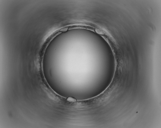 X0000111491360200907141230