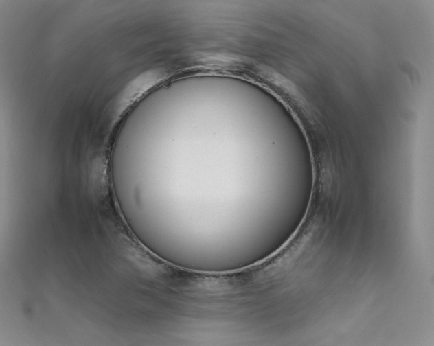 X0000111491362200907141230