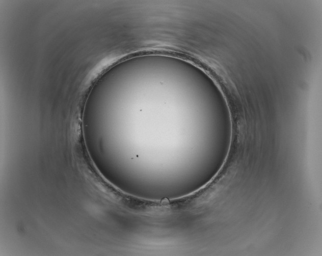 X0000111491363200907141230