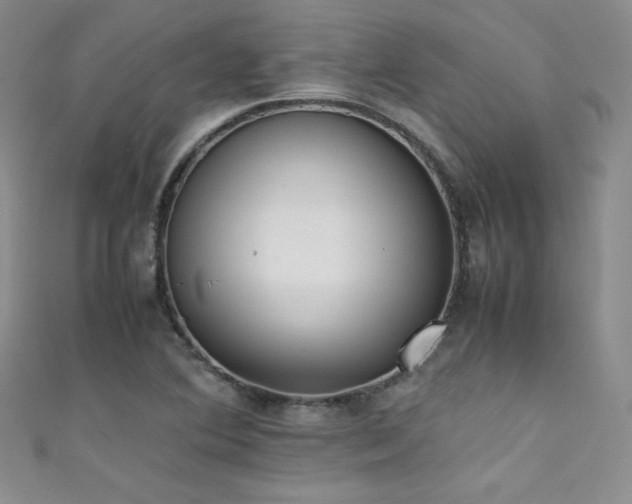X0000111491364200907141230