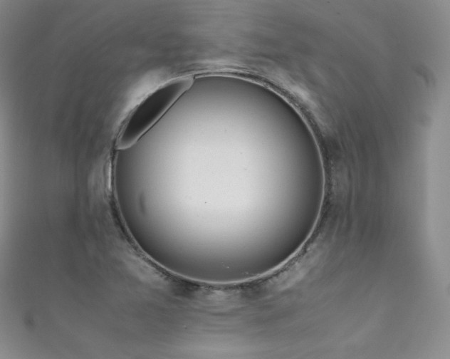 X0000111491365200907141230
