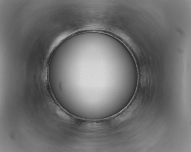 X0000111491366200907141230