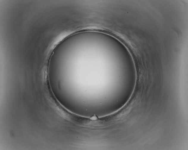 X0000111491367200907141230