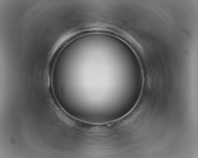 X0000111491368200907141230