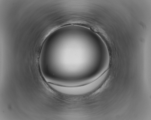 X0000111491369200907141230