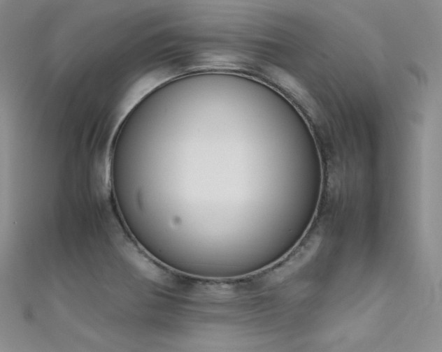 X0000111491370200907141229