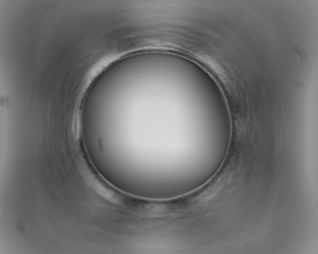 X0000111491371200907141229