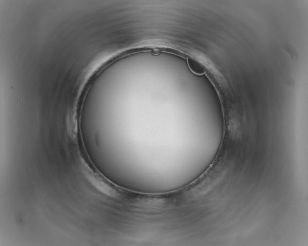 X0000111491372200907141229