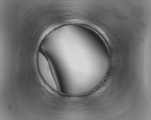 X0000111491373200907141229
