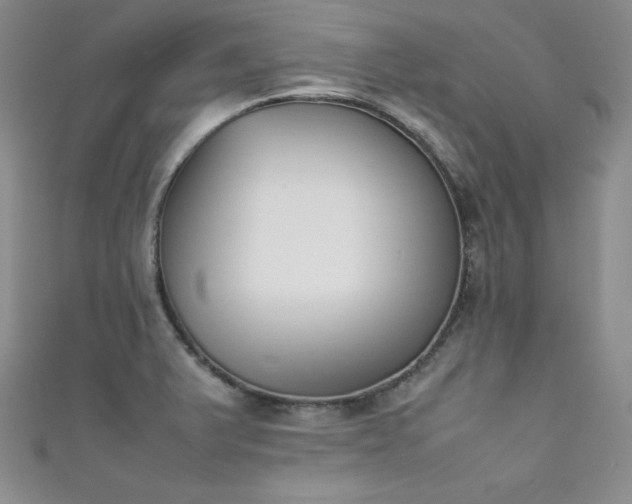 X0000111491375200907141229