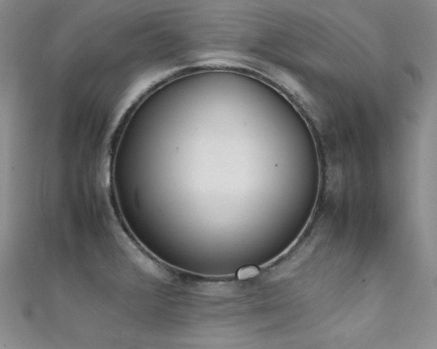 X0000111491376200907141229