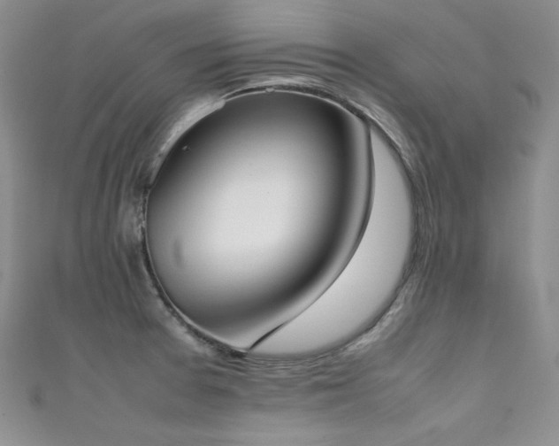 X0000111491377200907141229