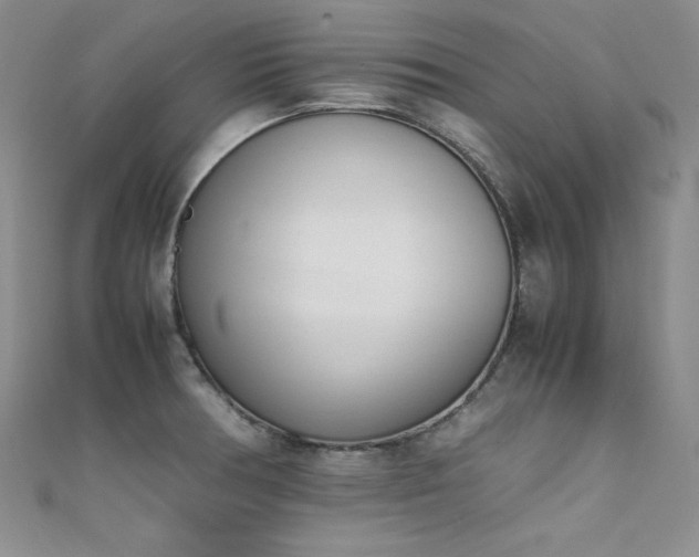 X0000111491378200907141229