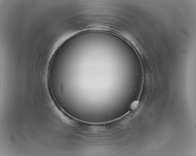 X0000111491379200907141229