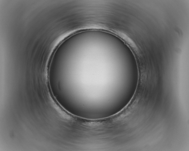 X0000111491380200907141229