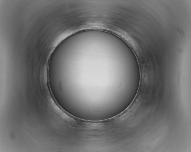 X0000111491382200907141229