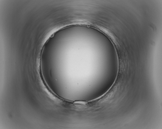 X0000111491383200907141229