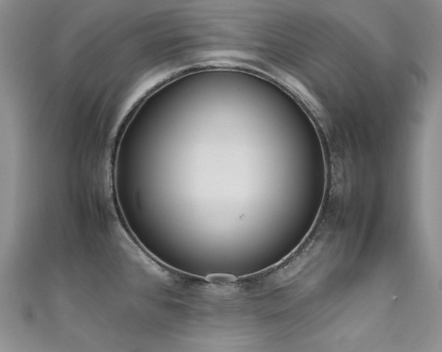X0000111491384200907141229