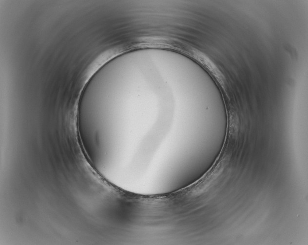 X0000111491386200907141229
