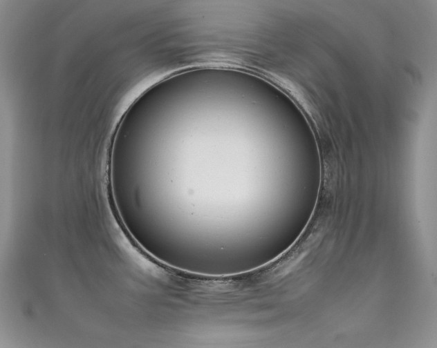 X0000111491387200907141229