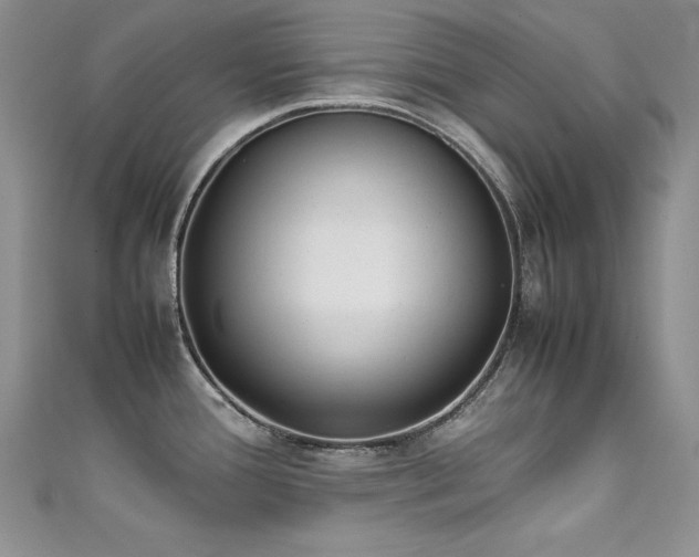 X0000111491388200907141229