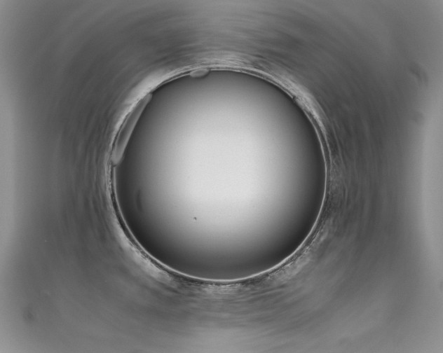X0000111491389200907141229