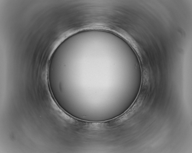 X0000111491390200907141229