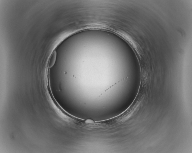 X0000111491391200907141229