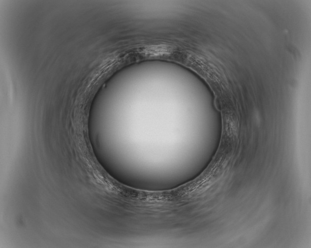 X0000111491393200907141229