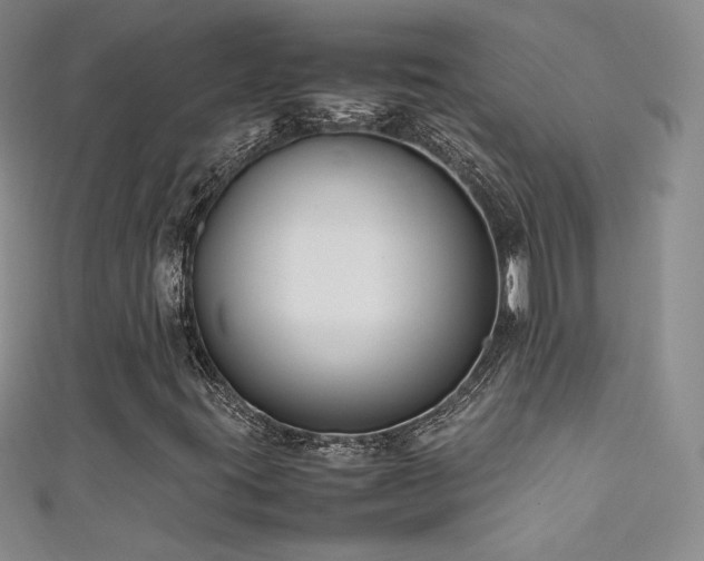 X0000111491395200907141229