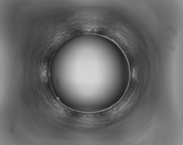 X0000111491396200907141229